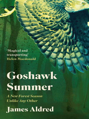 cover image of Goshawk Summer